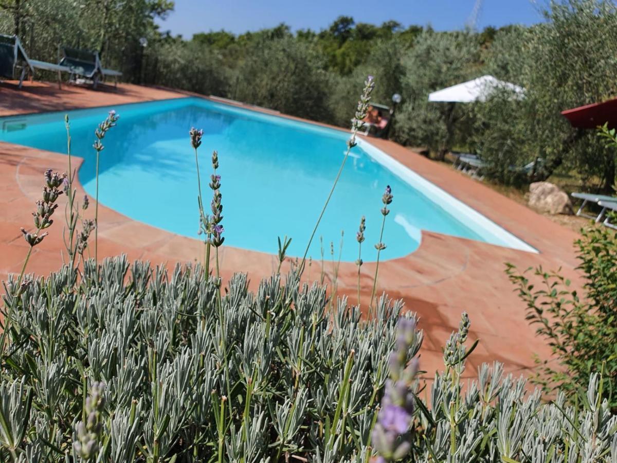 Agriturismo "Crocino In Chianti" Gaiole in Chianti Exteriör bild
