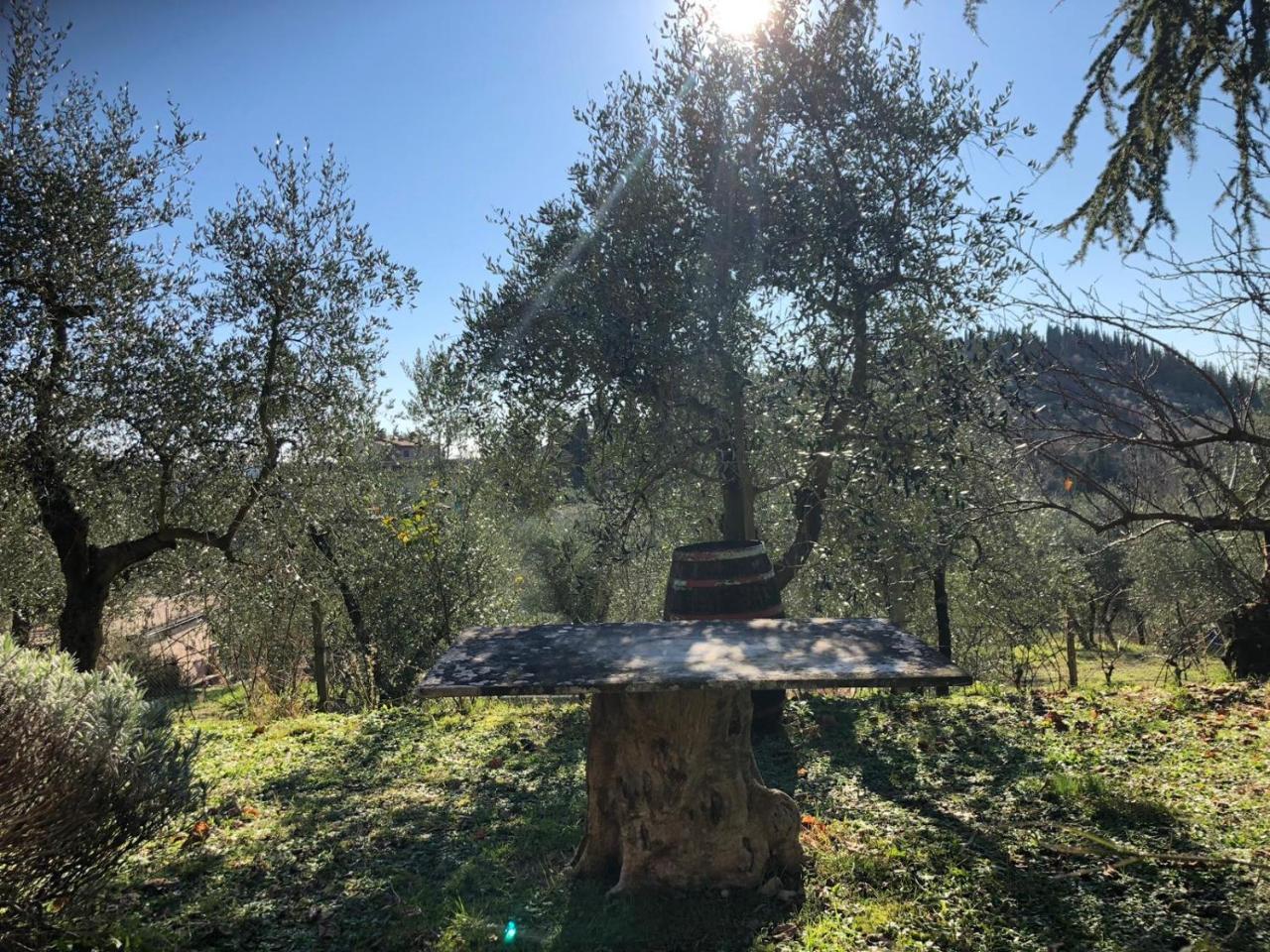 Agriturismo "Crocino In Chianti" Gaiole in Chianti Exteriör bild