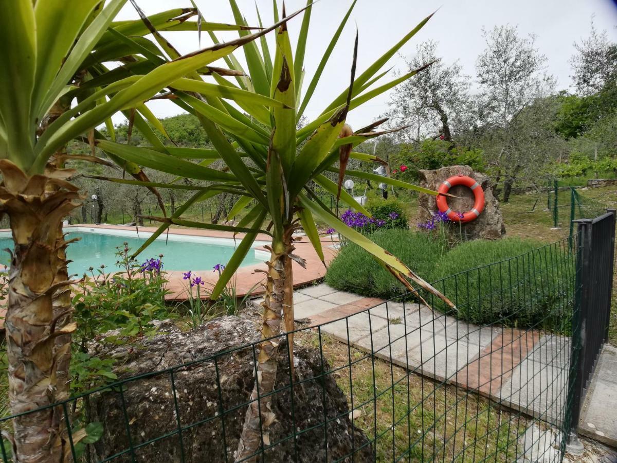 Agriturismo "Crocino In Chianti" Gaiole in Chianti Exteriör bild