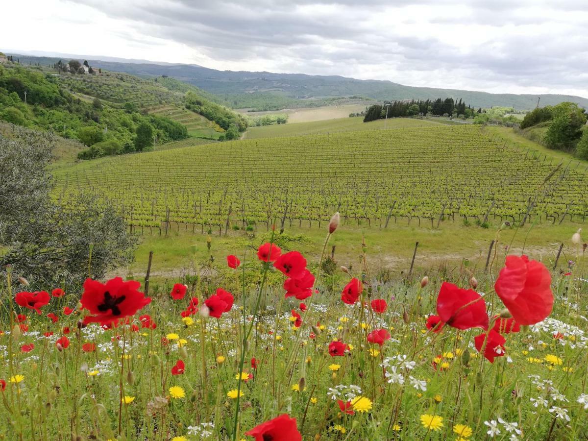 Agriturismo "Crocino In Chianti" Gaiole in Chianti Exteriör bild