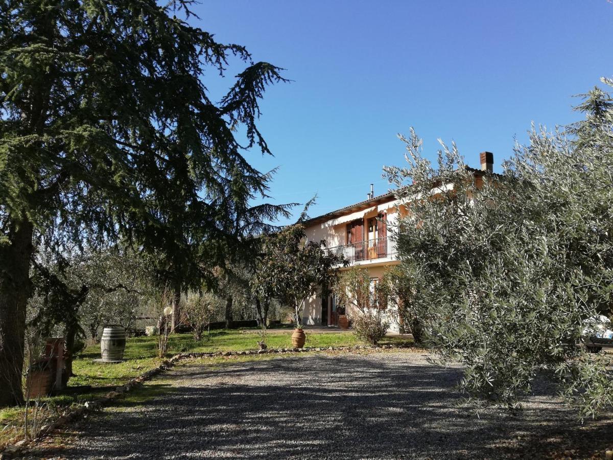 Agriturismo "Crocino In Chianti" Gaiole in Chianti Exteriör bild